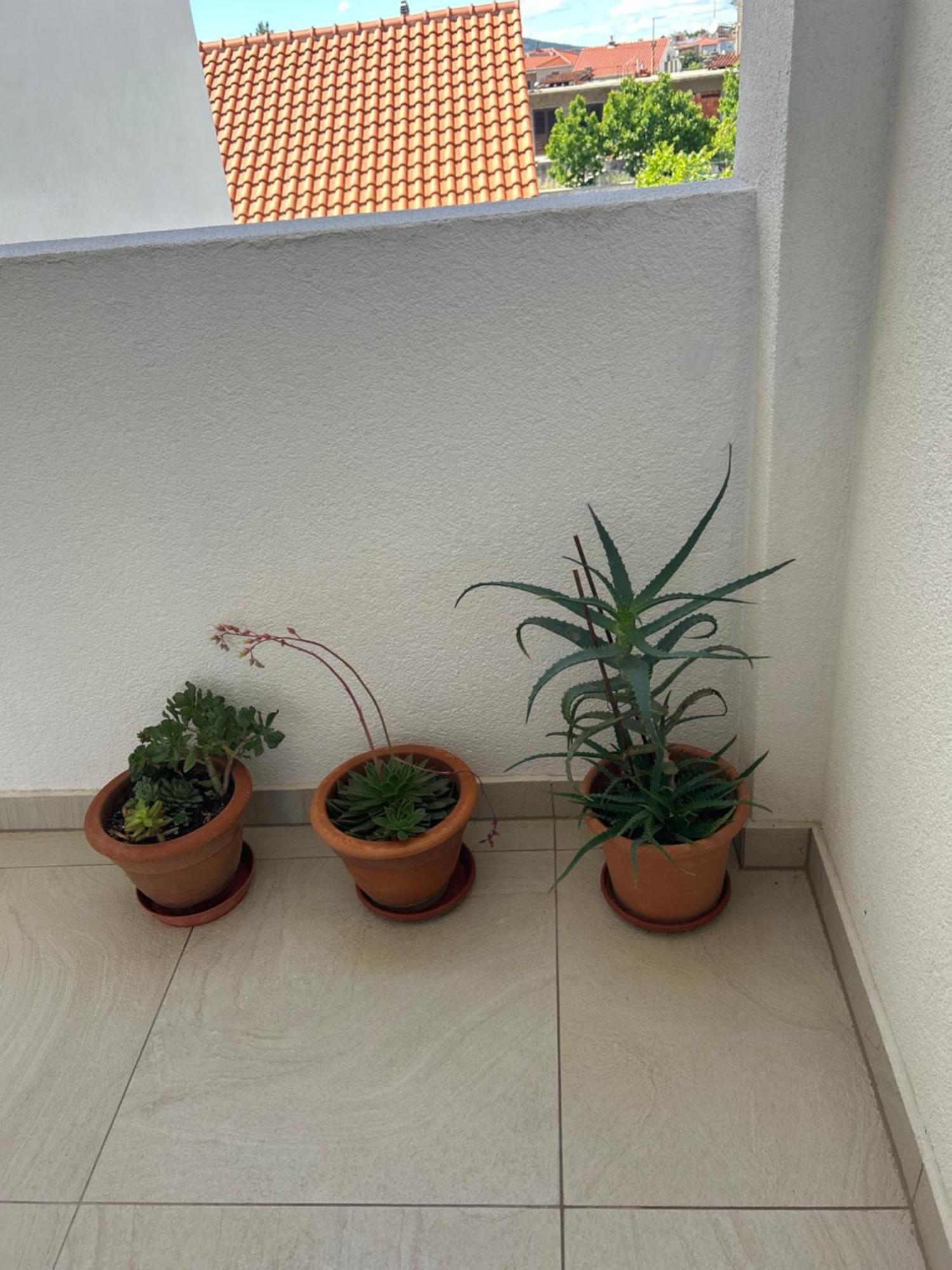 Apartments Purkovic فوديس المظهر الخارجي الصورة